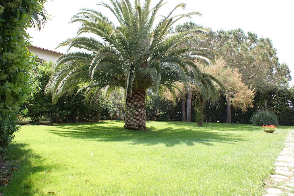 Farm stay Agriturismo Le Spighe San Donato (Tuscany)