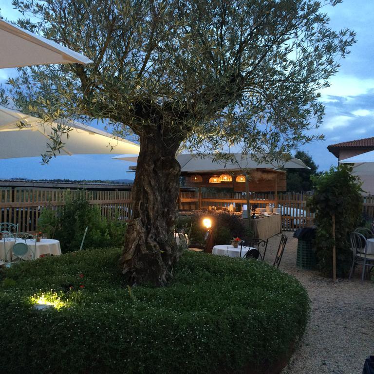 Farm stay Agriturismo Le Spighe San Donato (Tuscany)