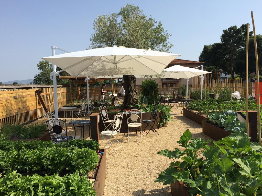 Agriturismo Le Spighe Farm stay San Donato (Tuscany)